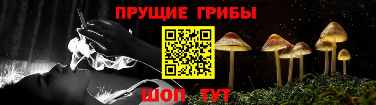 Узловая  даркнет сайт  Вход с VPN  Псилоцибиновые грибы Psilocybine cubensis 